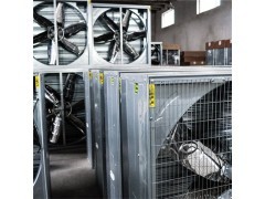 養(yǎng)殖專用排風(fēng)扇|畜牧排風(fēng)扇|養(yǎng)雞風(fēng)機(jī)_風(fēng)機(jī)、排風(fēng)設(shè)備_環(huán)境保護(hù)_商城_中國(guó)貿(mào)易網(wǎng)