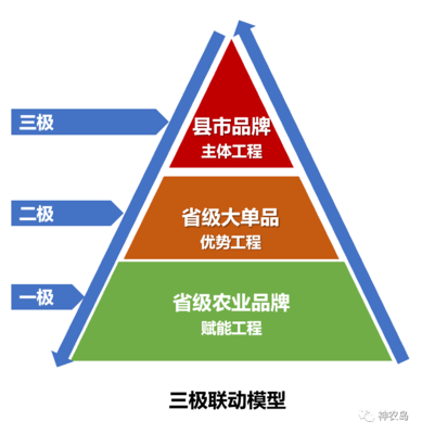 農(nóng)產(chǎn)品區(qū)域公用品牌建設(shè)的三大紀律八項注意