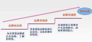 品牌管理 構(gòu)建持久競(jìng)爭(zhēng)力的關(guān)鍵——基于余偉萍教授的理論解析