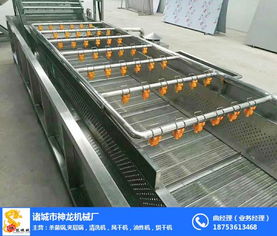 泰安土豆氣泡清洗機(jī) 諸城神龍機(jī)械的專業(yè)供應(yīng)與代理服務(wù)