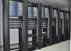 福田白沙嶺安防監(jiān)控與IT外包系統(tǒng)集成的全面解析