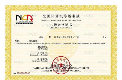 系統集成項目管理工程師與計算機二級認證的區分